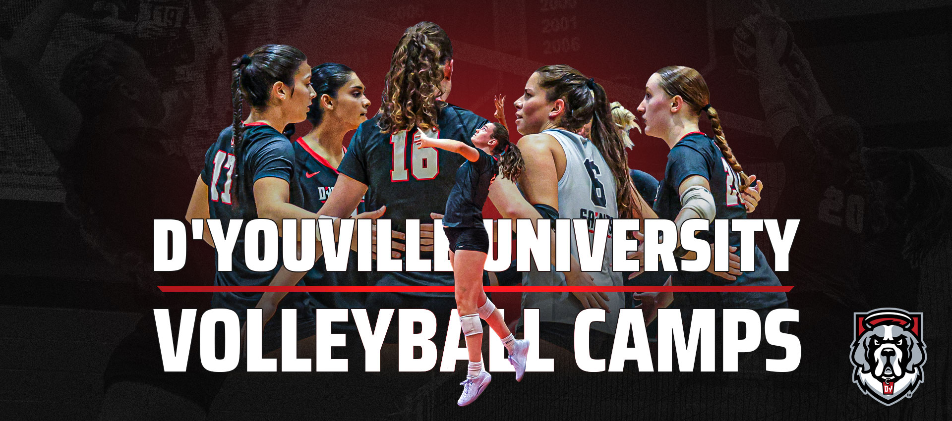 D'Youville University Women's Volleyball Camps