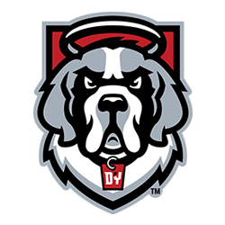 D'Youville University Women's Volleyball Camps